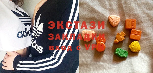 гашик Алексин